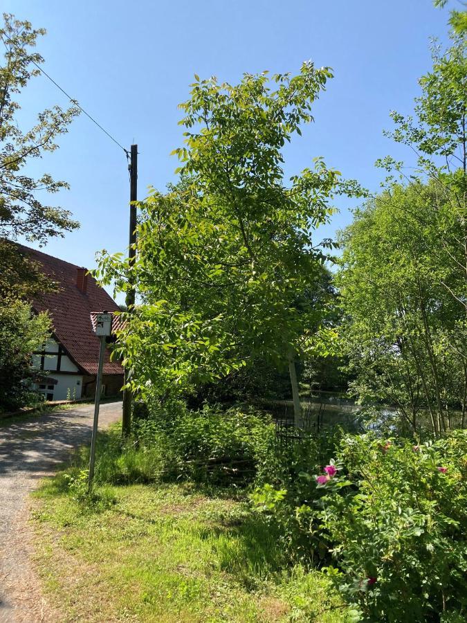 Apartment In Der Wassermuehle *